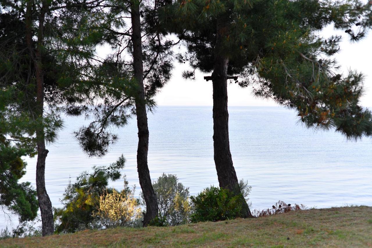 Summerday Villa Private Beach Неа-Ираклия Экстерьер фото